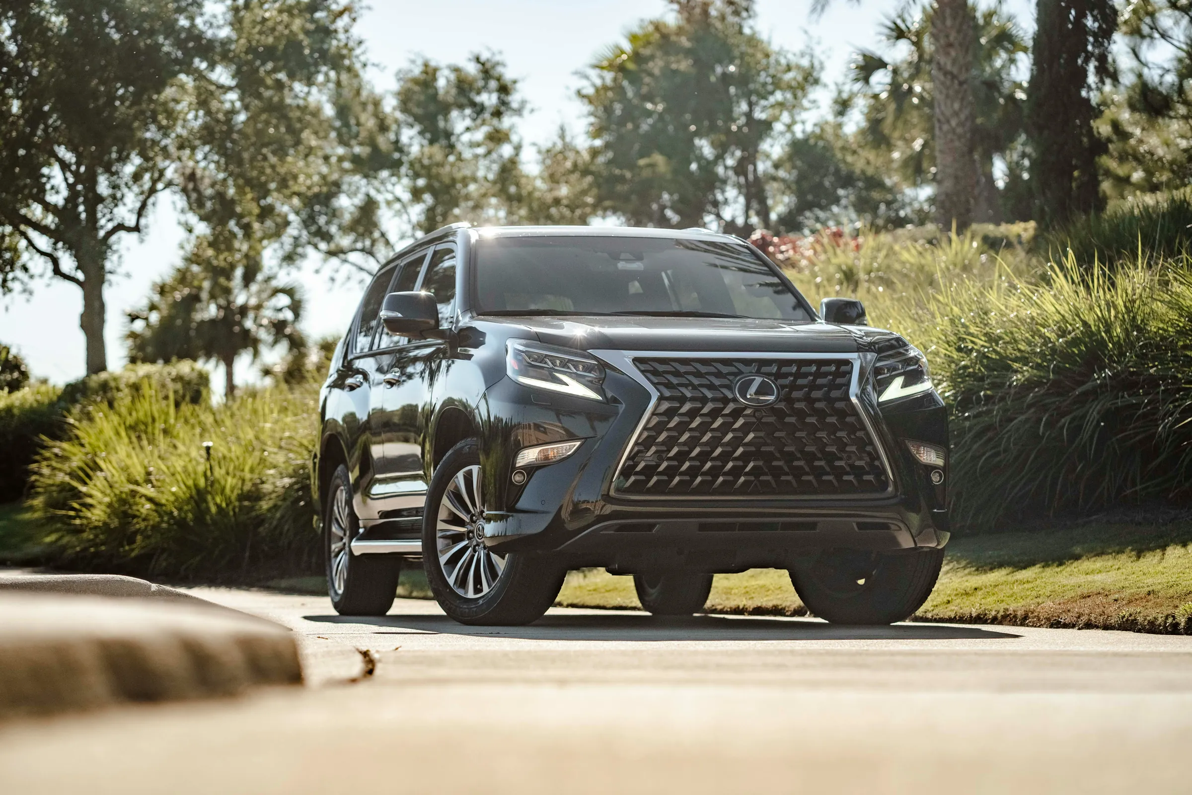 Lexus GX on a tree-lined driveway in summer